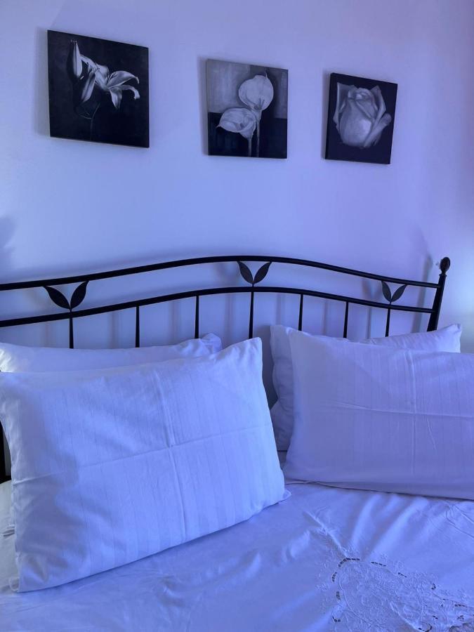 Apartman Gorana With Swimming Pool 耶尔萨 外观 照片